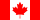 CAD flag